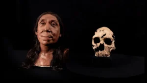 Muhteşem rekonstrüksiyonla Neandertal kadının yüzü canlandırıldı