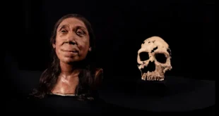 muhtesem-rekonstruksiyonla-neandertal-kadinin-yuzu-canlandirildi